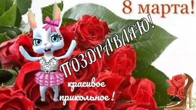 Прикольные поздравления в женский день 8 марта🌹С ПРАЗДНИКОМ 8 МАРТА  ДЕВЧАТА | Праздничные открытки, Праздник, Смешные поздравительные открытки