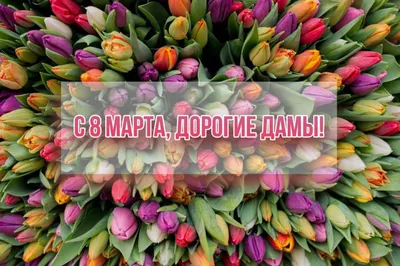 Красивые открытки для поздравления \"С 8 Марта!\" | Открытки, поздравления и  рецепты | Дзен