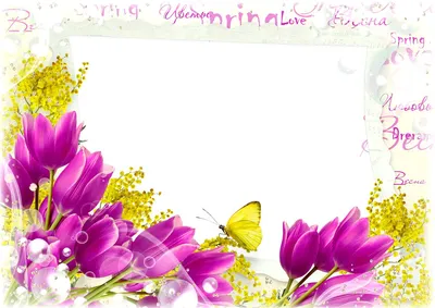 Цветочный дизайн Рамки Прямоугольник 8 марта, дизайн, фиолетовый,  прямоугольник, филиал png | PNGWing