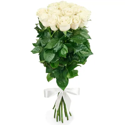 Купить Букет из белых роз Премиум (70 см) с доставкой в Омске - магазин  цветов Трава