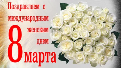 Картинки с 8 марта белые розы фото