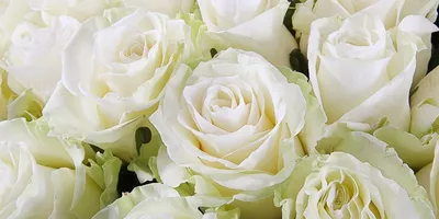 Цветы из мыла. Букет из белых роз. Букет на 8 марта для жены. Букет для  девушки на 8 марта (ID#1561516334), цена: 980 ₴, купить на Prom.ua