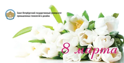 Белые Розы ...Михаил Шафутинский с праздником 8 МАРТА - YouTube