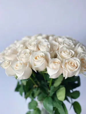 Белые розы в сердце от 41 шт. за 18 890 руб. | Бесплатная доставка цветов  по Москве