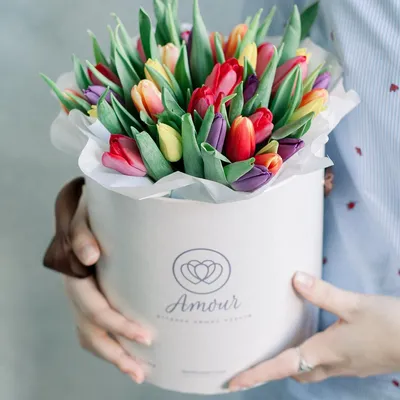Заказать тюльпаны на 8 марта. Купить тюльпаны в Твери недорого. Доставка  свежих тюльпанов.