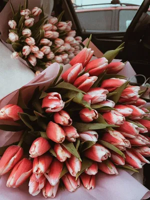 8-марта - Доставкой цветов в Москве! 15301 товаров! Цены от 487 руб. Цветы  Тут