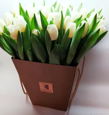 51 белый тюльпан | купить недорого | доставка по Москве и области