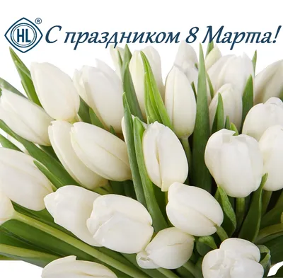 Кейт и Лео: парные букеты белых тюльпанов в шляпной коробке по цене 16530 ₽  - купить в RoseMarkt с доставкой по Санкт-Петербургу