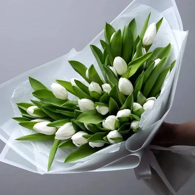 Купить букеты на 8 марта - цветы на Международный женский день, заказать  букет на 8 марта в магазине цветов Goldenflora