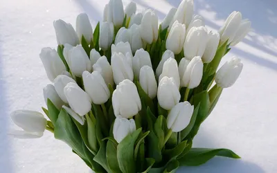 Букет белых цветов на 8 марта | купить недорого с доставкой на Roza4u.ru