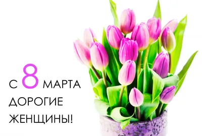 Дорогие наши женщины от всей души поздравляем Вас с 8 марта!
