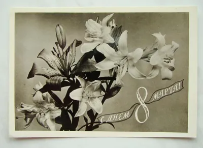 8 марта» 1989 Лилии 15x10,5 см открытка СССР - 8 марта - Интернет-магазин.  Новогодние, художественные открытки СССР.