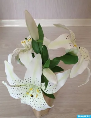 Лилии на 8 марта купить в Москве ✿ Доставка: 0 ₽ при заказе от 3 000 ₽ ✿  Букеты цветов от Venus in Fleurs
