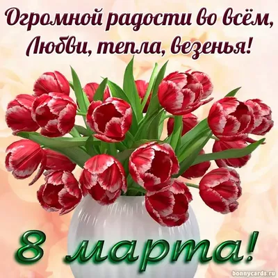 Живые Открытки - 🌺🌺🌺 Поздравляем с 8 марта! 🌺🌺🌺 Пусть в душе весна  резвится, Пусть растают все снега, Пусть весь мир у ног ложится, Милый  дарит жемчуга! С 8 марта поздравляю И