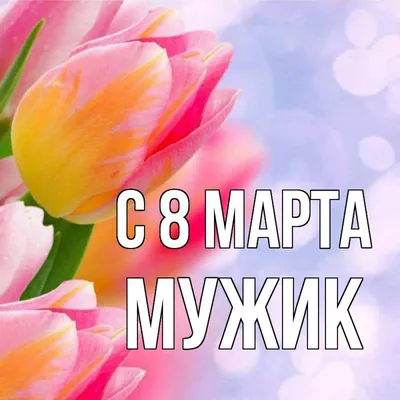 В Москве накануне 8 марта традиционно вырос спрос на цветы :: Новости :: ТВ  Центр