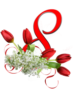 Desktop Indira Gandhi Memorial Tulip Garden Cut flowers, flower, love,  flower Arranging, heart png | PNGWing