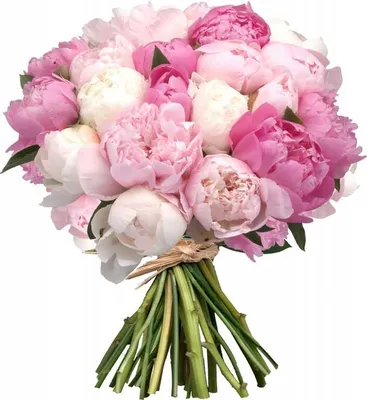 Розовые пионы в сердце от 29 шт. за 39 490 руб. | Бесплатная доставка  цветов по Москве