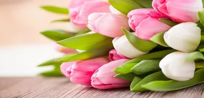 Дизайн поздравительной открытки Международного женского дня. Красивые цветы  ромашки и текст счастливый 8-ое марта, написанный на р Стоковое Изображение  - изображение насчитывающей цвет, состав: 211346149