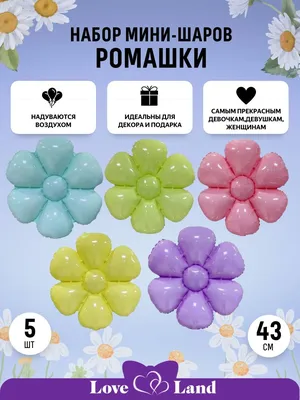 Купить Пластиковая форма 8 марта ромашки в Краснодаре: низкая цена и  доставка