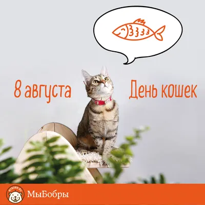 8 Марта с котиками и «натюльпаненными» подарками — обзор праздничных  кампаний брендов и агентств