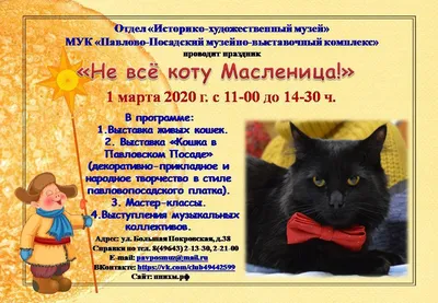 Международная выставка кошек пройдет в Москве 2–3 марта – Москва 24,  29.02.2024