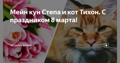 Рисунок На 8 Марта С Котиком (39 Фото)