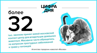 Всемирный день домашних животных - 30 ноября | Государственная библиотека  Югры