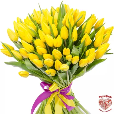 Купить Открытка «С 8 марта», желтые тюльпаны, 12 х 18 см в Могилеве:  доставка по Беларуси