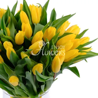 Тюльпан желтый поштучно | купить недорого тюльпаны в розницу | доставка по  Москве и области