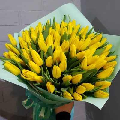 Открытка С 8 марта \"Желтые пюльпаны\", скачать бесплатно открытку #708.