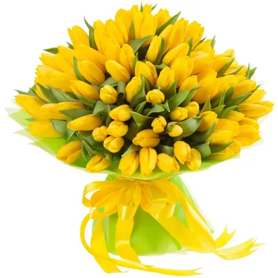 Гарольд: букет желтых тюльпанов в шляпной коробке по цене 10145 ₽ - купить  в RoseMarkt с доставкой по Санкт-Петербургу