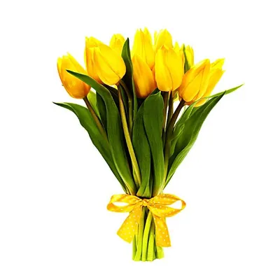 Картинки с 8 марта желтые тюльпаны фото