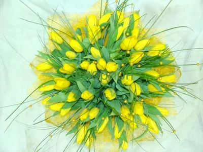 Букет желтые тюльпаны - купить с доставкой в Реутове. Цена от 4 855 руб.,  фото, отзывы - reutov.florrus.ru