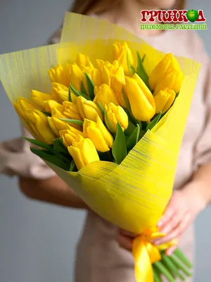 ❏ __❏ Жёлтые тюльпаны ... ❏ __❏. Конкурсы сайта