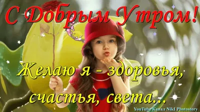 Поздравления от Кота-Лисов и всех наших героев с 8 марта! Анжелика Лиса