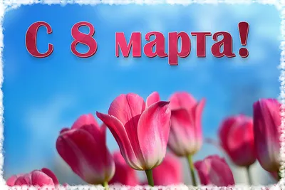 Поздравляем всех женщин с праздником весны - 8 марта 💐!!! Вы, наши музы,  вдохновляющие творить и соз… | Праздник, Рождественские поздравления,  Праздничные открытки