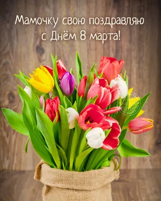 Поздравляем женщин с 8 марта! - 7 Марта 2015 - Школа №24 г.Рязани