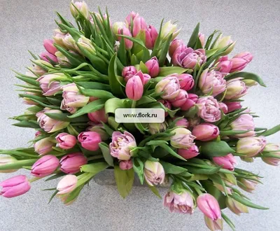 Букет тюльпанов «С 8 марта!» - купить по выгодной цене в Ноябрьске