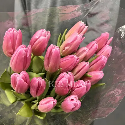 Почему на 8 марта дарят тюльпаны | Цветмаркет VANDA