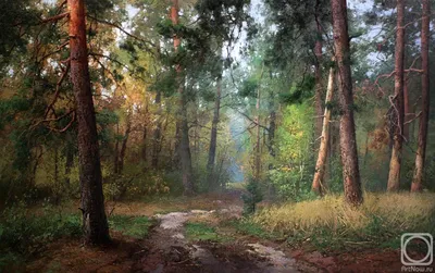 Картина Сосновый лес ᐉ Резванюк Мария ᐉ онлайн-галерея Molbert.