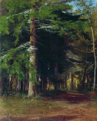 Картина Мистический лес ᐉ Урясьeва Елена ᐉ онлайн-галерея Molbert.