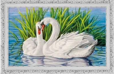 Купить картину Даррелл Буш чудесный мир природы белые лебеди - Damina.plus