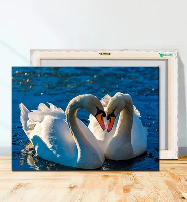 Картина в рамке 20*30см светлый багет серебро Лебеди : Торговый дом Сибирь