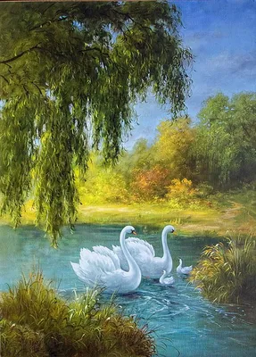 Картина на холсте для интерьера Лебеди, птицы природа любовь, пара лебедей  (2) 40х60 - купить по низкой цене в интернет-магазине OZON (1022184557)