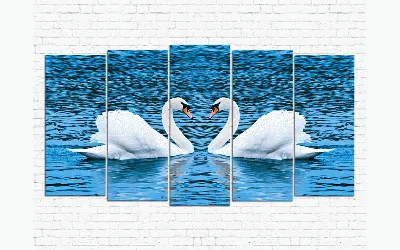Купить картину маслом Лебеди (Swans) от 5700 руб. в галерее DasArt
