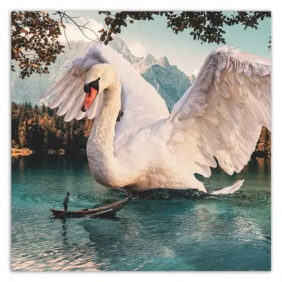 Картина Лебеди на льду ᐉ онлайн-галерея Molbert.