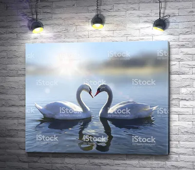 Купить Картина по номерам на холсте «Лебеди на тихом пруду», 40х30 см  (7880880) в Крыму, цены, отзывы, характеристики | Микролайн