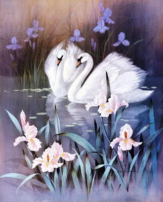 Картина \"Лебеди в водяных лилиях\"