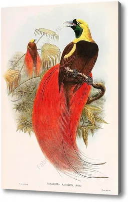 Картина с красными птицами. №558479 - купить в Украине на Crafta.ua