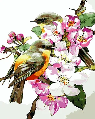 Картины Птицы на холсте, купить картину с птицами в Украине